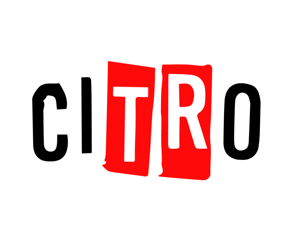 Citro Electronic Control Units ECU – Performance and Reliability for any types of Vehicle